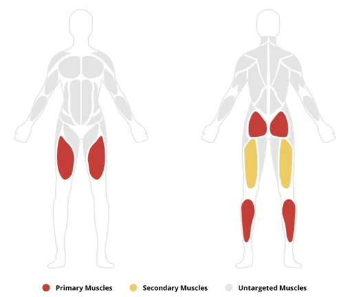 Garmin Connect muscle map, front and back views, with quadriceps, glutes and calves marked as primary muscles and hamstrings as secondary.